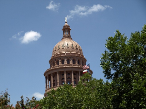 Dome Above the Trees  Dome Above the Trees